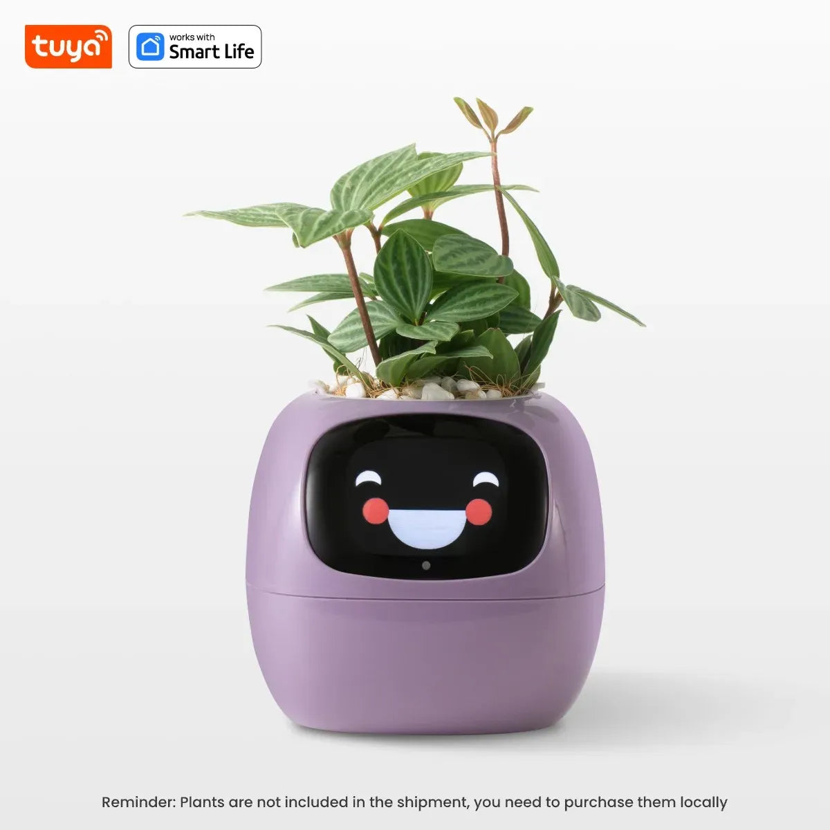 Never Guess Your Plant’s Needs Again  Floragotchi