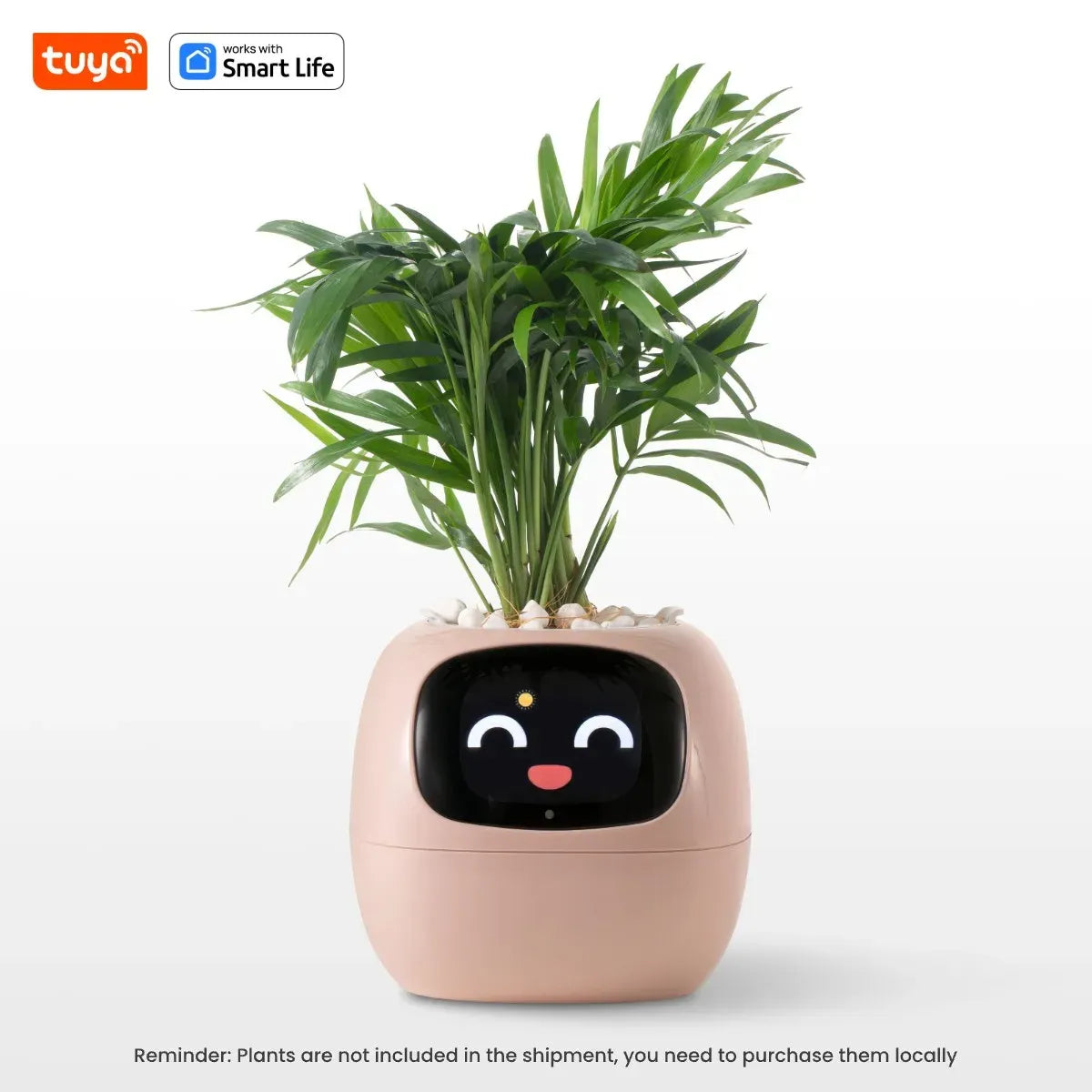 Never Guess Your Plant’s Needs Again  Floragotchi